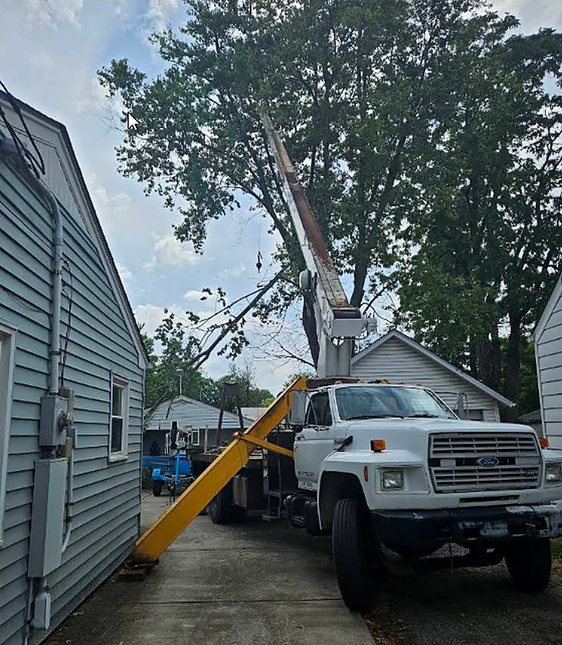 Batts Tree Services